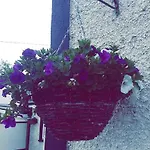 Castle Kilkenny