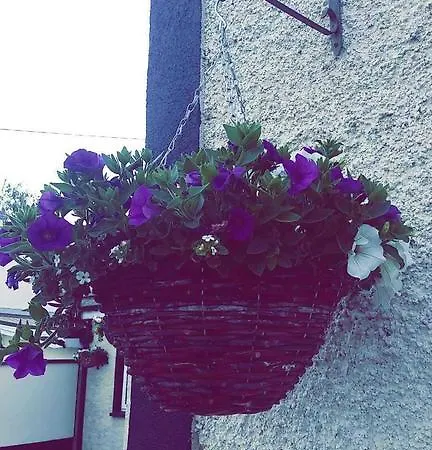 Castle Kilkenny